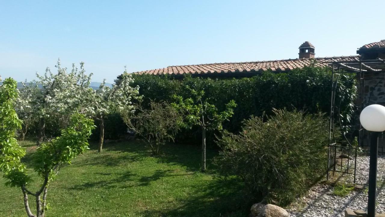 Podere Mammoleta Fattoria la Marsiliana Exterior photo