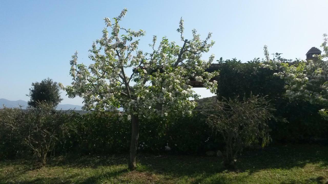 Podere Mammoleta Fattoria la Marsiliana Exterior photo