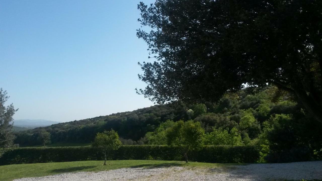 Podere Mammoleta Fattoria la Marsiliana Exterior photo